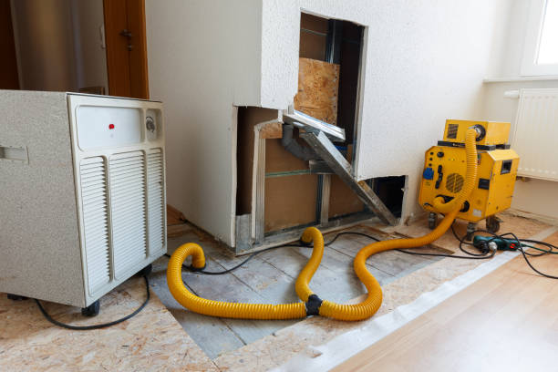 Best Mold Prevention Services  in Brownfield, TX